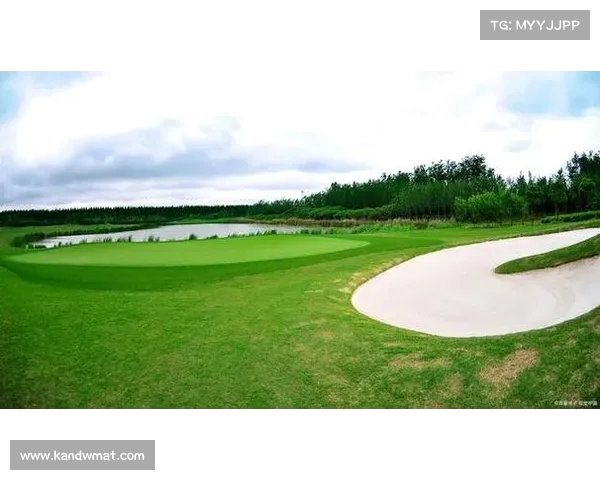 高尔夫球场障碍区设计与技巧解析提升球技的关键所在