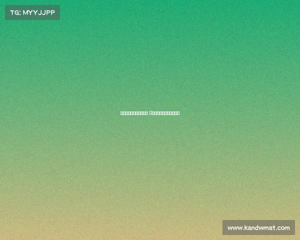 阿莫林：我喜欢看着球迷 B费不会连续两轮罚丢进球