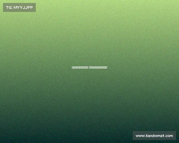 阿莫林：我喜欢看着球迷 B费不会连续两轮罚丢进球