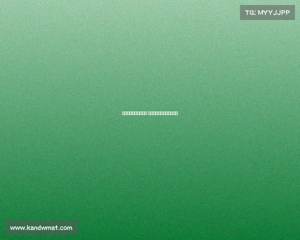 启幕周末赛事激情开赛 热血对决引爆全城观赛热潮