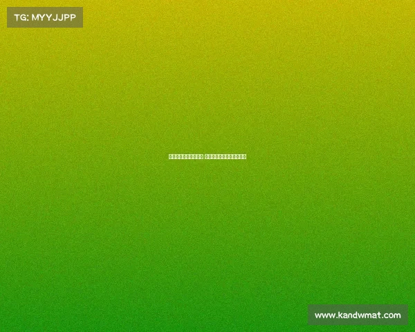 启幕周末赛事激情开赛 热血对决引爆全城观赛热潮